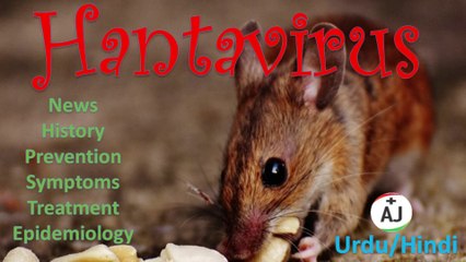 Hanta Virus Complete Information In First Time In Urdu/Hindi