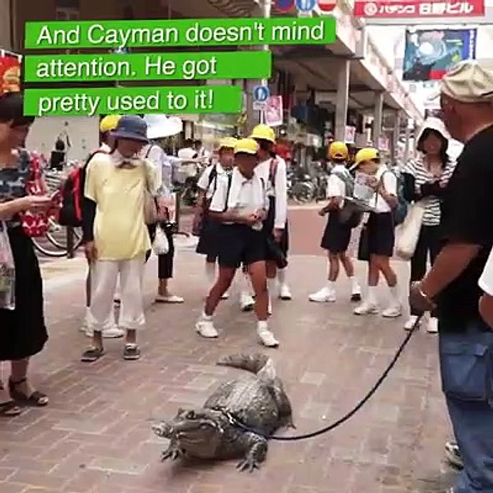 como fazer trading na betfair