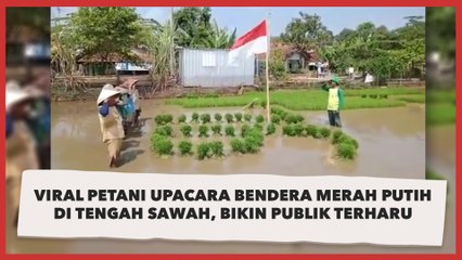 Viral Petani Upacara Bendera Merah Putih di Tengah Sawah, Bikin Publik Terharu