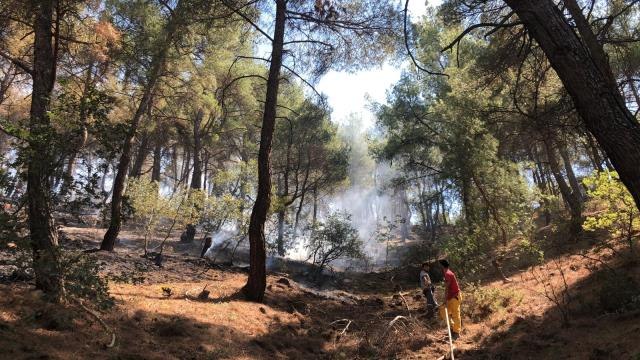 Ormanlık alanda yangın çıktı