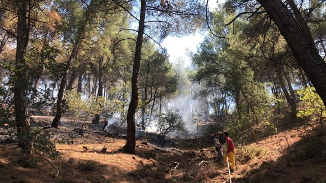 Ormanlık alanda yangın çıktı