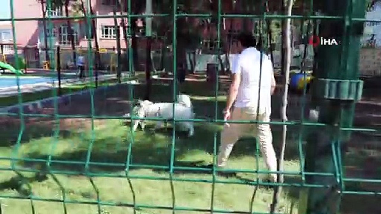 - Evcil hayvanlar için “Can Dostum” oyun bahçesi