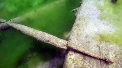 Nel Lago degli Abeti un tesoro sommerso di biodiversità