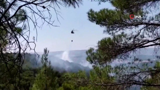 Uşak’ta ormanlık alanda yangın başladı