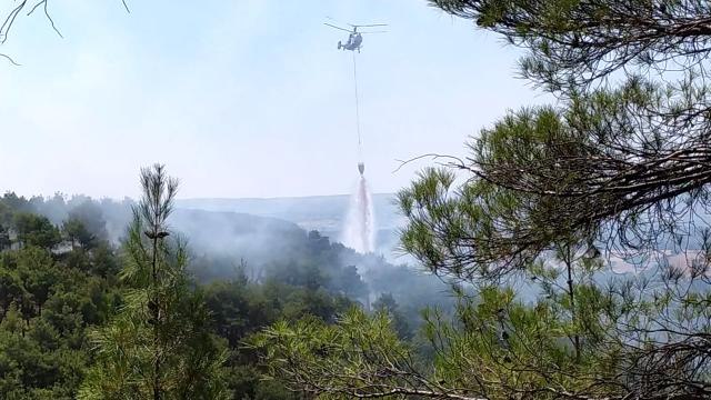 Uşak'ta ormanlık alanda yangın başladı