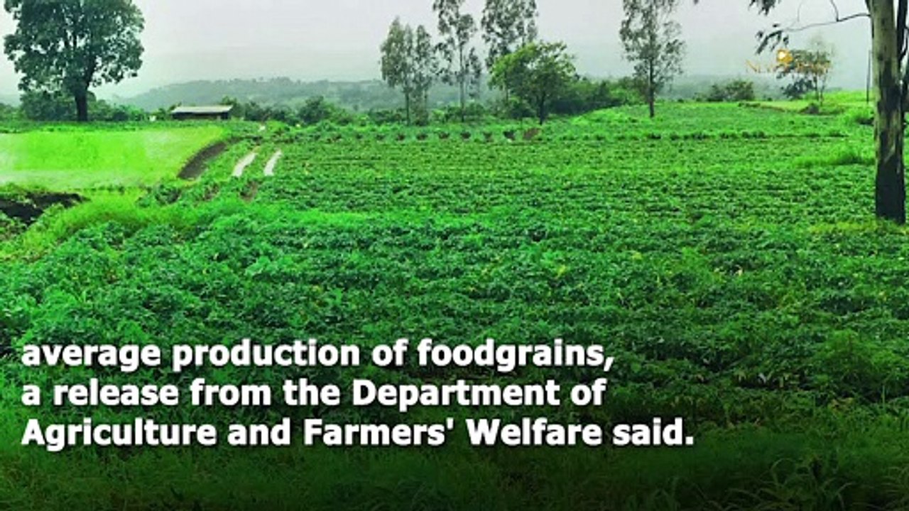 India's Food Grain Output Estimates New Record