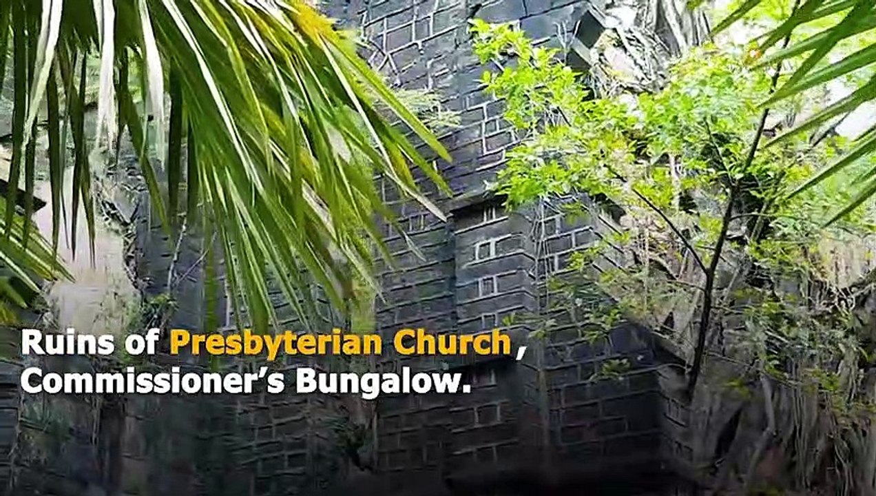 Andaman & Nicobar Islands Delightful Wander To Beaches