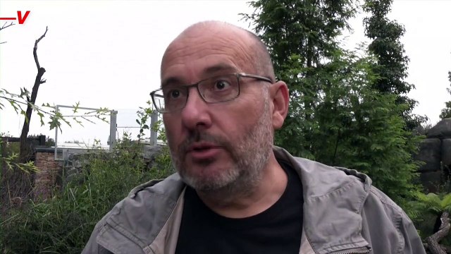 These Adorable Tasmanian Devils Are Helping Experts Tackle an Endangering Situation in Their Species