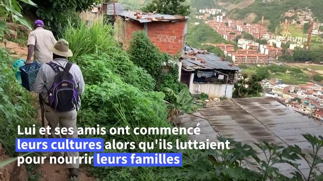 Pénuries alimentaires: les Vénézuéliens se tournent vers l'agriculture urbaine