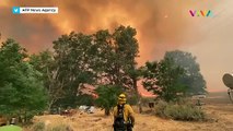 Kebakaran California, Melahap 30 Ribu Hektar Lahan