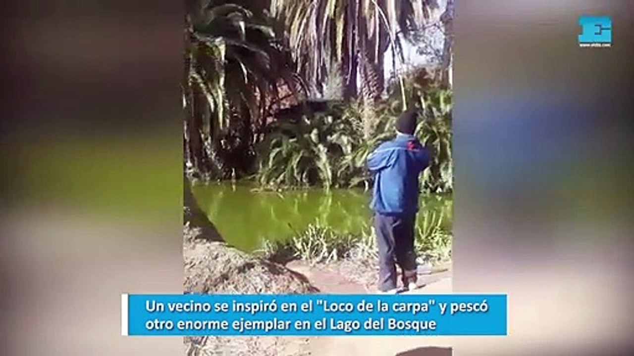 Un vecino pescó otro enorme ejemplar en el Lago del Bosque