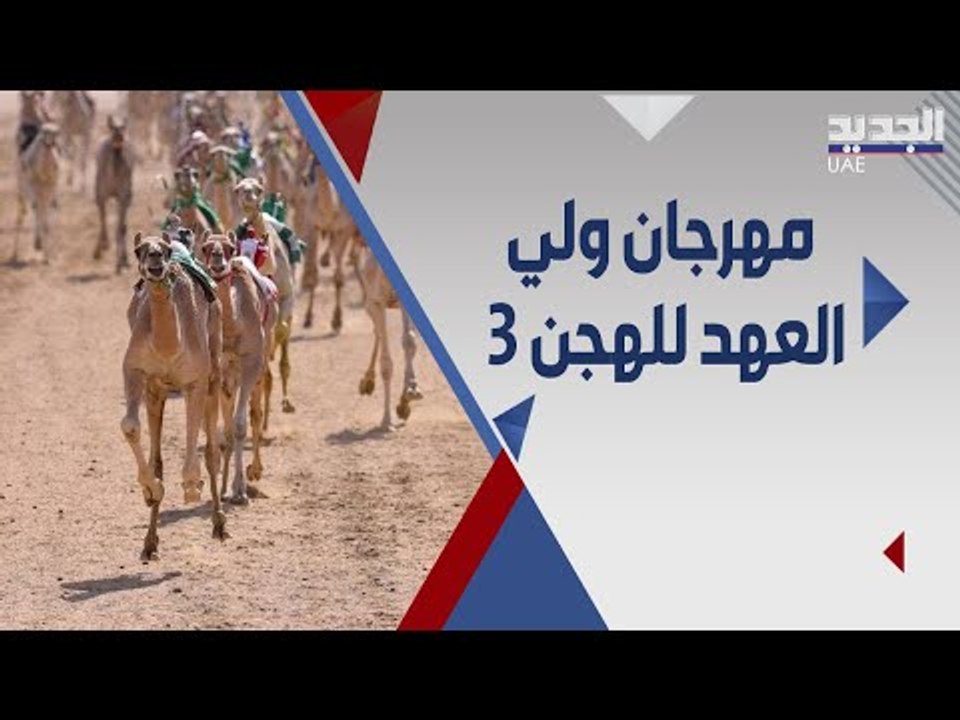 انطلاق مهرجان ولي العهد ل الهجن الثالث .. مشارك...
