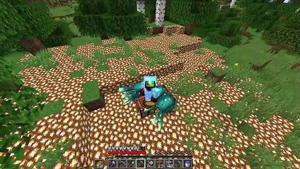 Minecraft, But There Are Custom Hoes...