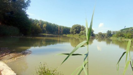 Natur pur! Kanufahrt Szigetköz