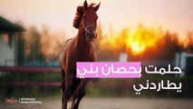 حلمت بحصان بني يطاردني