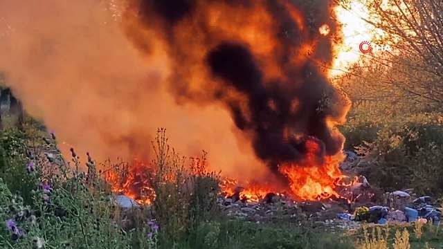 Anız yangını ormana sıçramadan söndürüldü