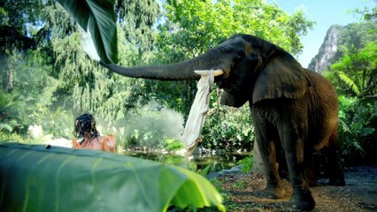 Katy Perry - Roar (Official)