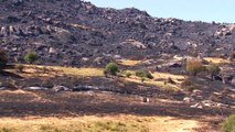 Estabilizado el incendio de Ávila tras más de 22.000 hectáreas calcinadas