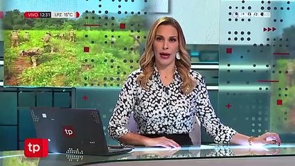 Erradican plantaciones de coca encontradas en el Parque Amboró