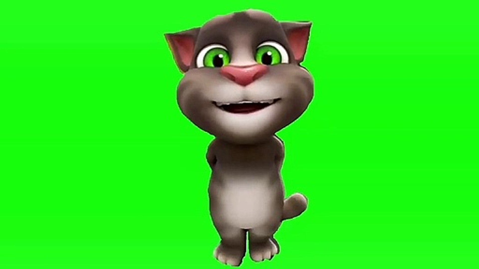 Говорящий том без головы. Talking Tom Cat. Talking Tom 2005. Talking Tom Green Screen. Говорящий том фон.