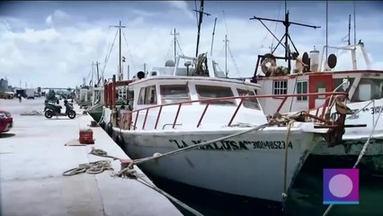 Huracán "Grace" pone en alerta a Yucatán y Quintana Roo
