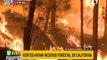 Estados Unidos y Europa: crece alarma por propagación de incendios forestales