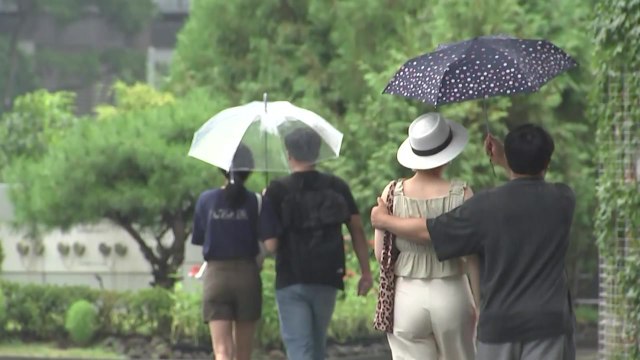 [날씨] 오늘도 내륙 소나기·동해안 호우...서쪽 낮 더위 / YTN