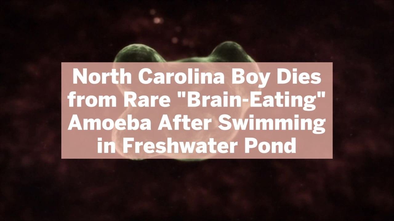 North Carolina Boy Dies from Rare "Brain-Eating" Amoeba After Swimming in Freshwater Pond