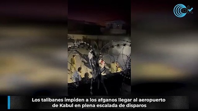 Los talibanes impiden a los afganos llegar al aeropuerto de Kabul en plena escalada de disparos