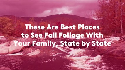 These Are Best Places to See Fall Foliage With Your Family, State by State