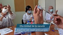 Covid-19: eficacia de la vacuna de Moderna podría depender de la reacción inmune de cada persona