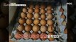 [INCIDENT] Broken and neglected eggs, where does the company stand?, 생방송 오늘 아침 210819