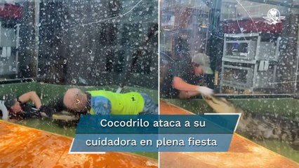 Fiesta casi termina en tragedia tras ataque de cocodrilo
