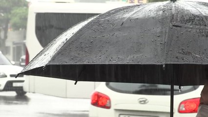 [날씨] 서쪽 낮 더위 계속...내륙 소나기·동해안 호우 / YTN