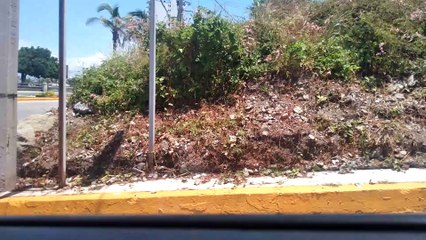 Paseo por Mazatlán | 18 de Agosto del 2021