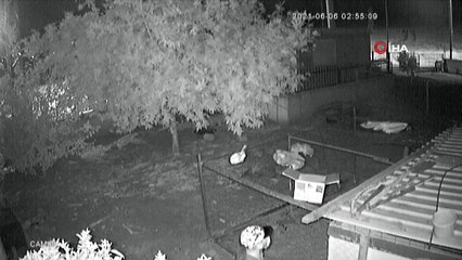 Çalacak bir şey bulamayınca çim biçme makası çaldılar