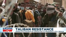 Taliban 'intensifying' search for Afghans who worked for US – UN report