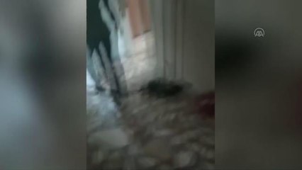 Son dakika haber: Çiçek saksılarında Hint keneviri yetiştiren kişi gözaltına alındı