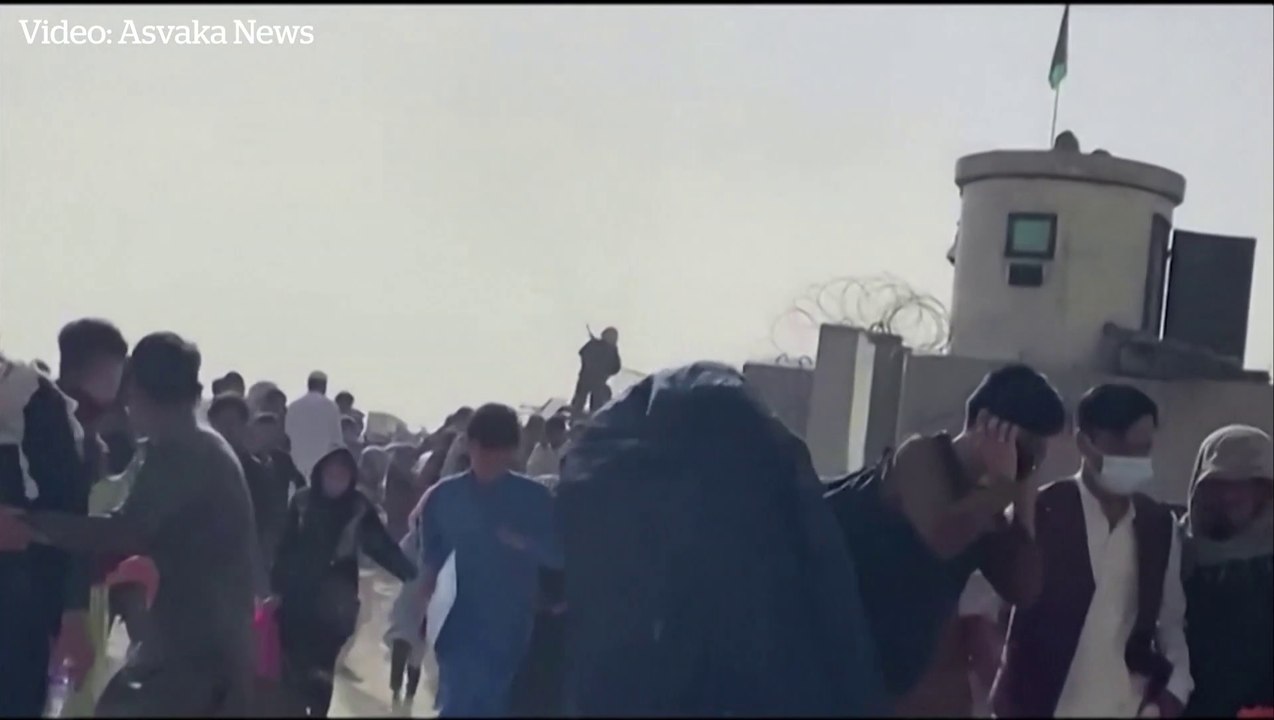 Crowds flee as Taliban fire shots at Kabul airport as thousands continue attempt to leave country