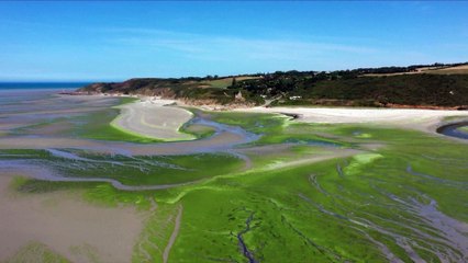Bretanha luta para combater "marés verdes"