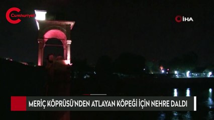 Meriç Köprüsü'nden atlayan köpeği için nehre daldı