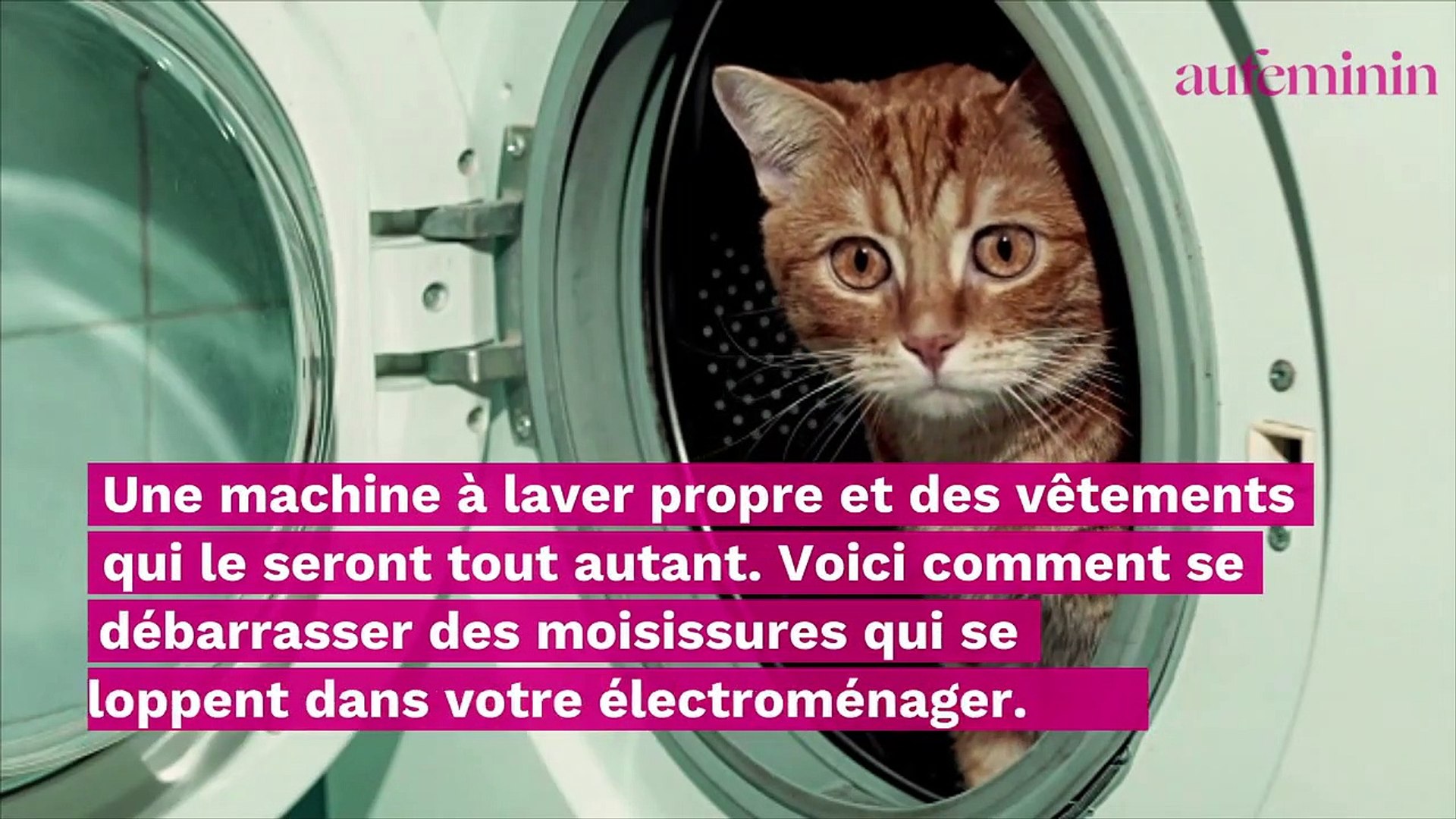 Moisissure dans la machine à laver ? Voici comment les éliminer - Vidéo  Dailymotion