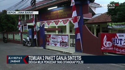 Warga Tapos Depok Temukan 2 Paket Ganja di Kebun Pisang