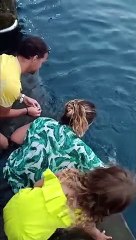 'Chuchos' en La Gomera