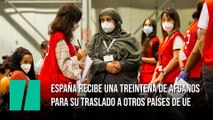 Los primeros 53 españoles y afganos evacuados de Kabul ya están en Madrid
