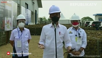 Jokowi: Porang Bisa Jadi Nilai Tambah Petani