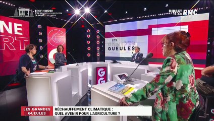 Le Grand Oral de Christiane Lambert, présidente de la FNSEA - 19/08