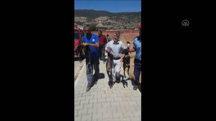 Son Dakika | GAZİANTEP - Taşların altına sıkışarak mahsur kalan 5 yavru köpeği itfaiye ekipleri kurtardı