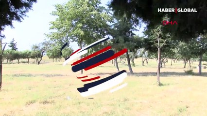 Tekirdağ Çorlu'da piknik alanında insan kafatası ve kemikler bulundu