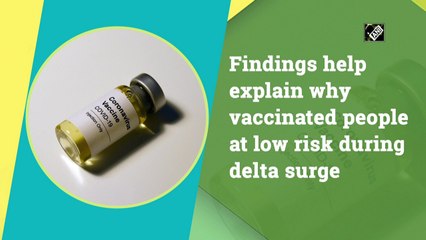 Findings help explain why vaccinated people at low risk during delta surge